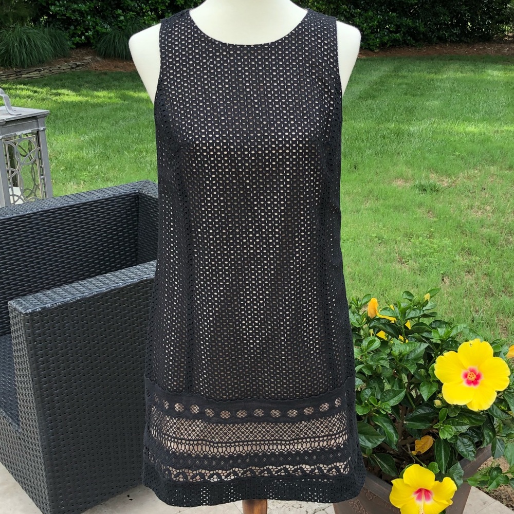 Ann Taylor Black Dress with Tan Lining